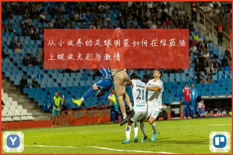 从小放养的足球明星如何在绿茵场上绽放光彩与激情