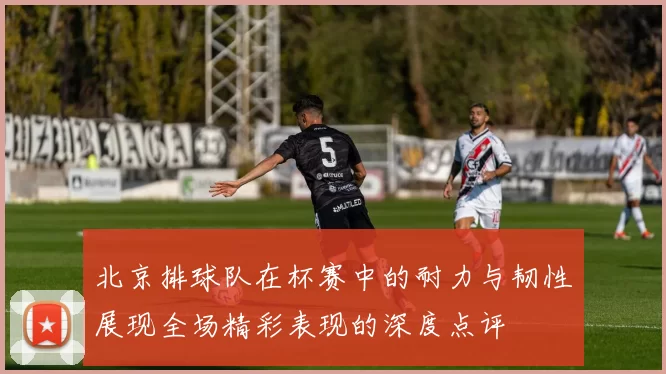 北京排球队在杯赛中的耐力与韧性展现全场精彩表现的深度点评