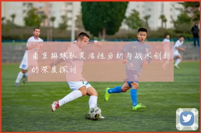 南京排球队灵活性分析与战术创新的深度探讨