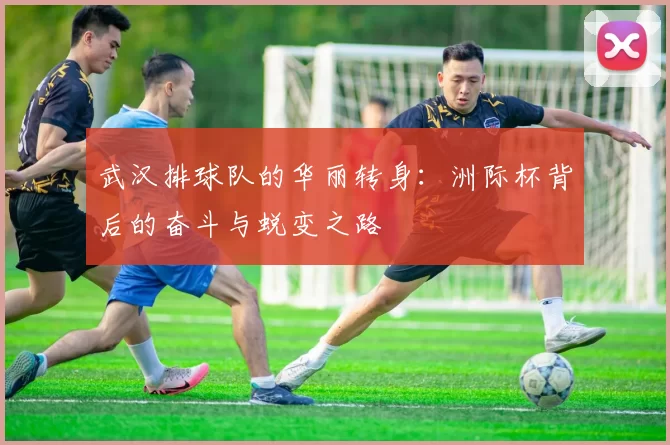 武汉排球队的华丽转身：洲际杯背后的奋斗与蜕变之路