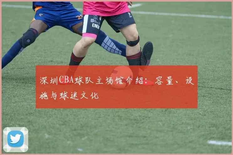 深圳CBA球队主场馆介绍：容量、设施与球迷文化