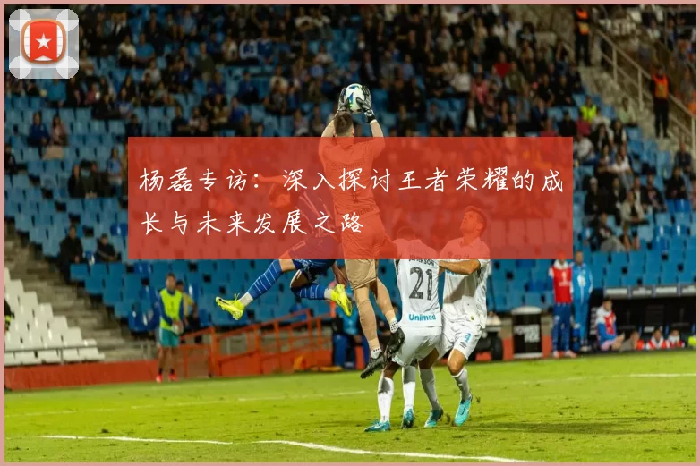 杨磊专访：深入探讨王者荣耀的成长与未来发展之路