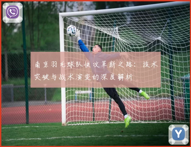 南京羽毛球队快攻革新之路：技术突破与战术演变的深度解析