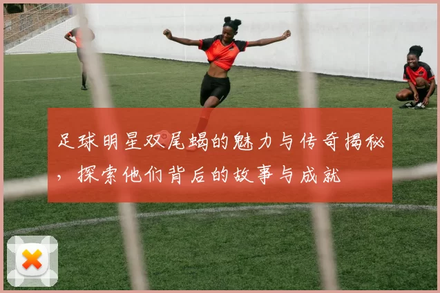 足球明星双尾蝎的魅力与传奇揭秘，探索他们背后的故事与成就