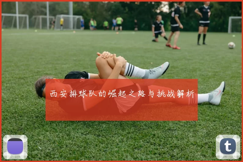 西安排球队的崛起之路与挑战解析