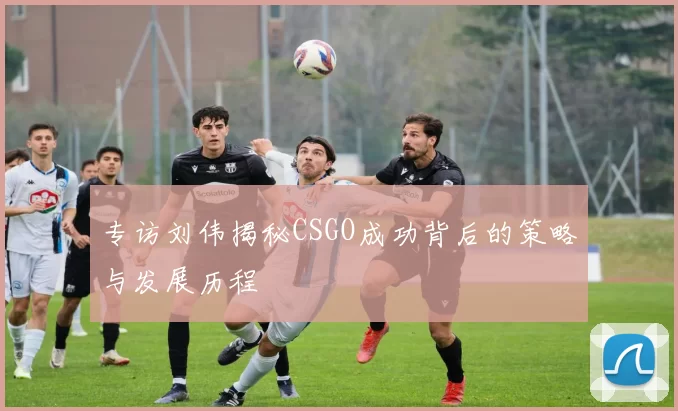 专访刘伟揭秘CSGO成功背后的策略与发展历程