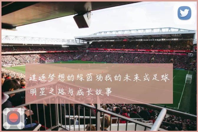 追逐梦想的绿茵场我的未来式足球明星之路与成长故事