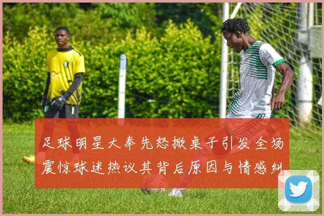 足球明星大奉先怒掀桌子引发全场震惊球迷热议其背后原因与情感纠葛
